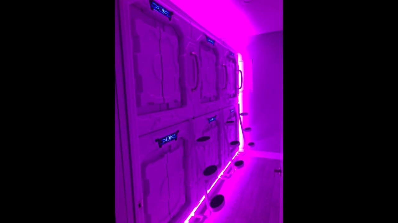 La Podlife Hotel Los Angeles Ngoại thất bức ảnh