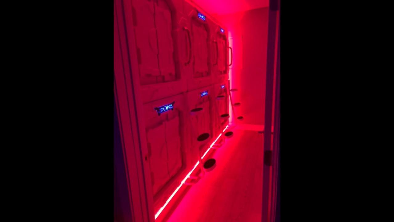 La Podlife Hotel Los Angeles Ngoại thất bức ảnh